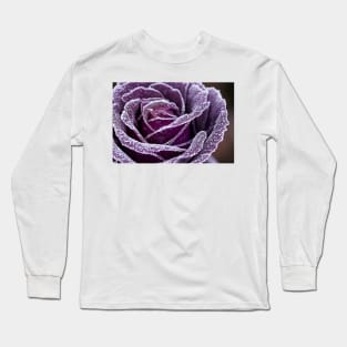 Purple flower close up with studio light Long Sleeve T-Shirt